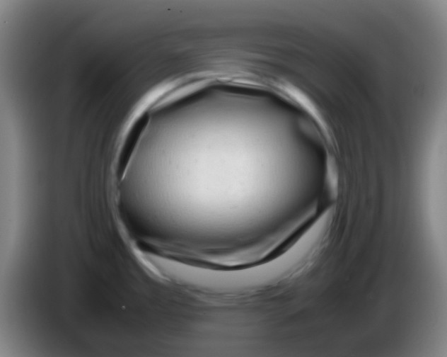 X0000085311485200703302012