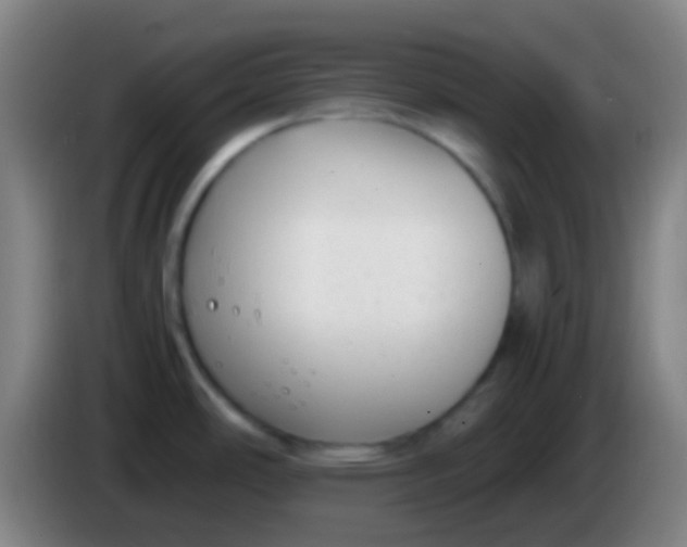 X0000085311486200703302012