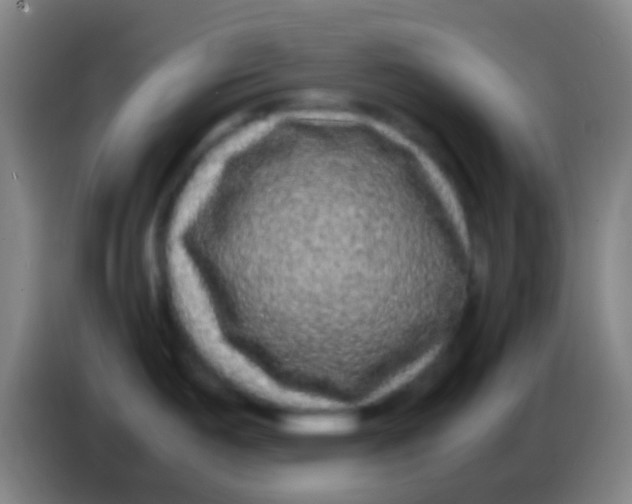 X0000085311487200703302012