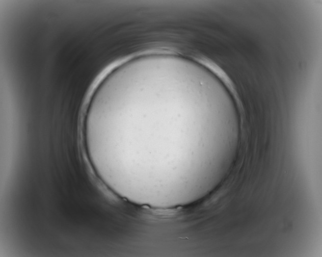 X0000085311488200703302012