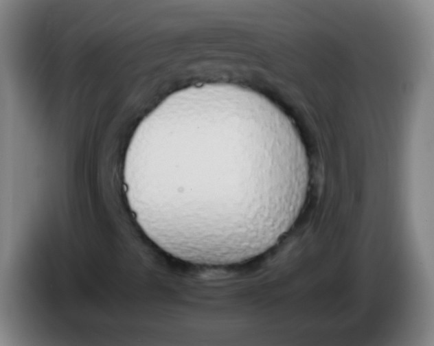 X0000085311489200703302011