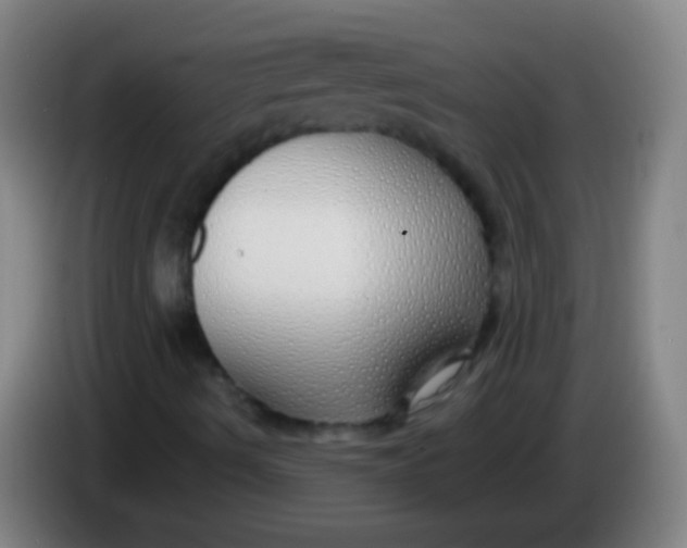 X0000085311490200703302011