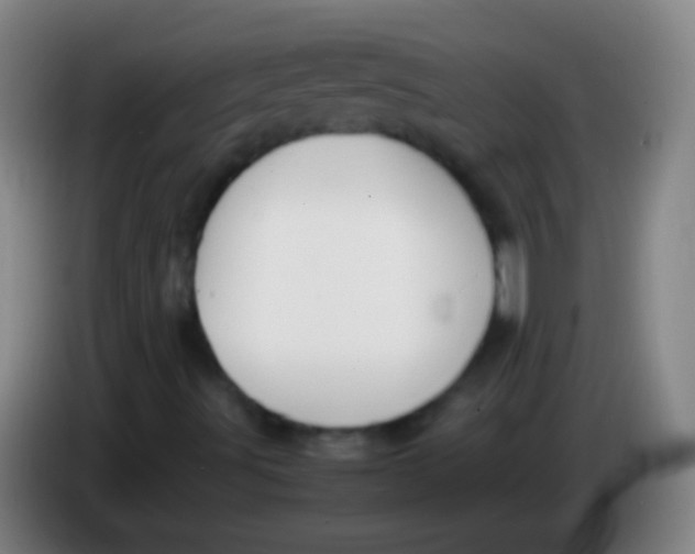 X0000085311491200703302011