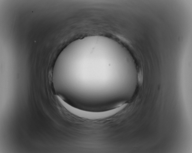 X0000085311492200703302011