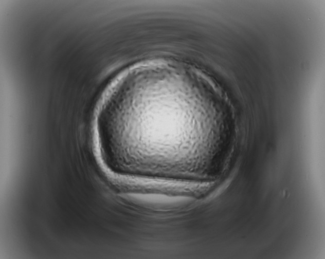 X0000085311497200703302011