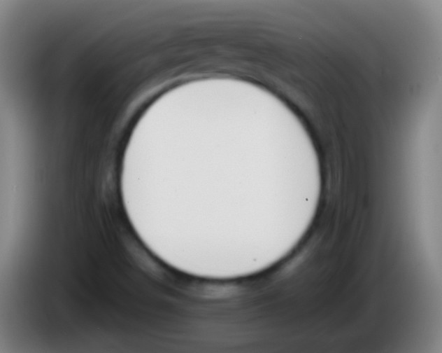 X0000085311498200703302011