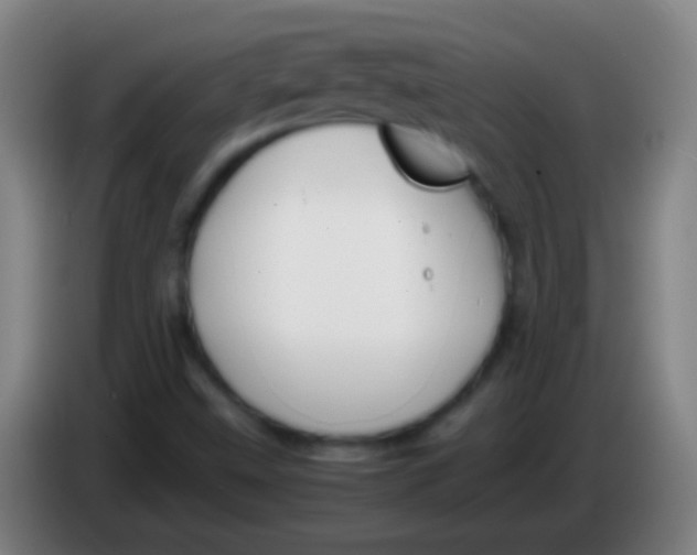 X0000085311499200703302011