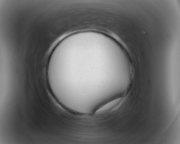 X0000085311500200703302011