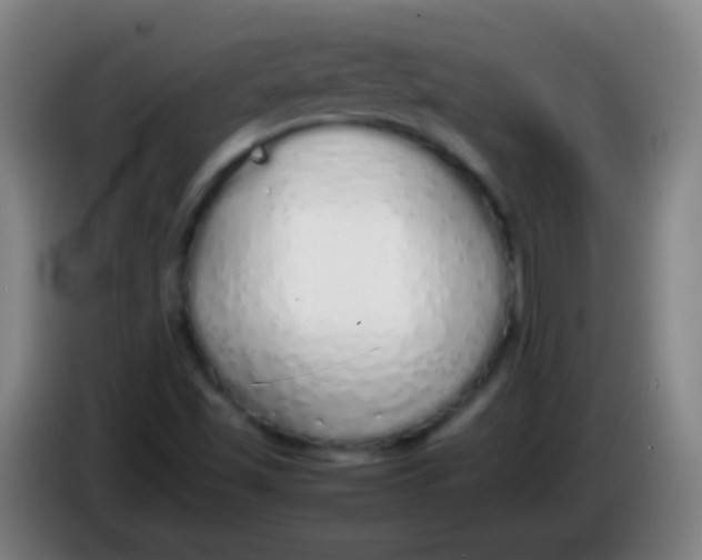 X0000085311501200703302011