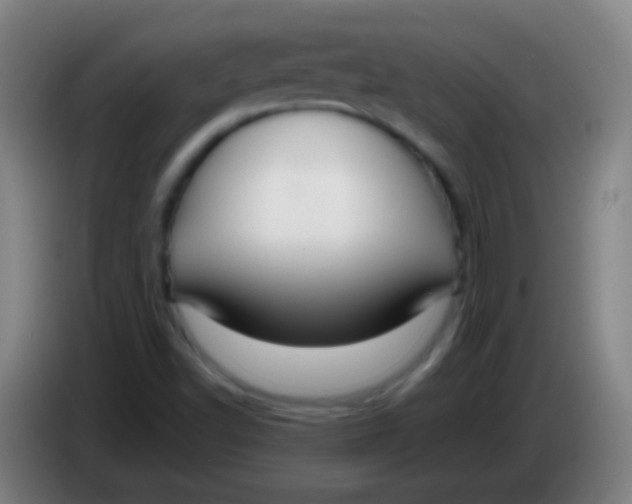 X0000085311502200703302011