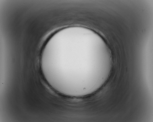 X0000085311503200703302011