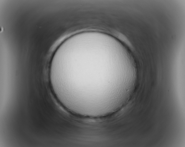 X0000085311504200703302011