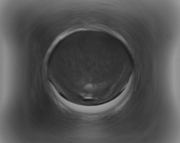 X0000085311506200703302011