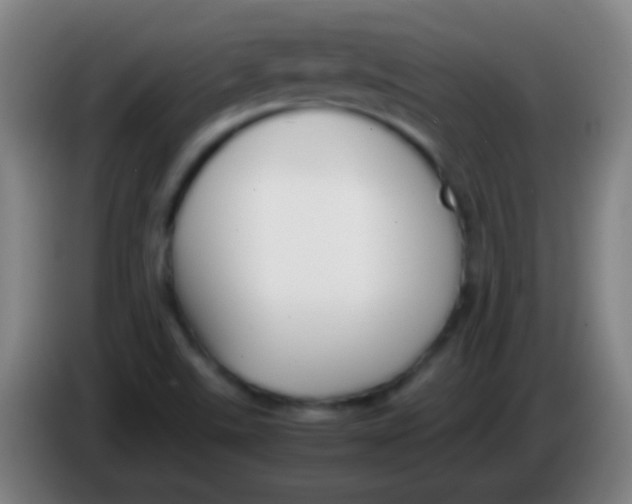 X0000085311507200703302011