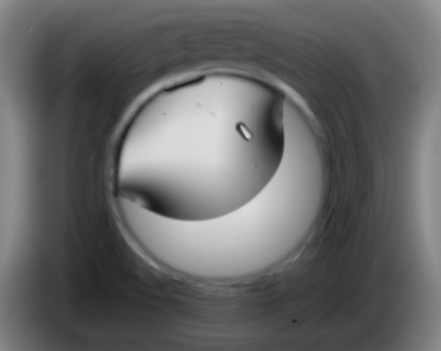 X0000085311508200703302011