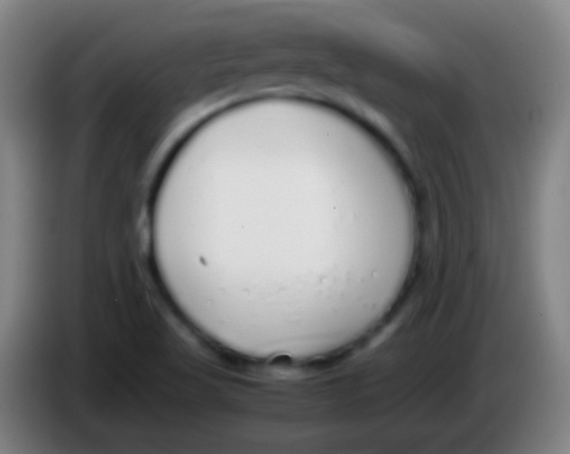 X0000085311509200703302011