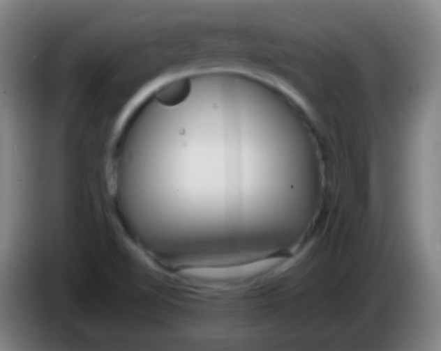 X0000085311510200703302011