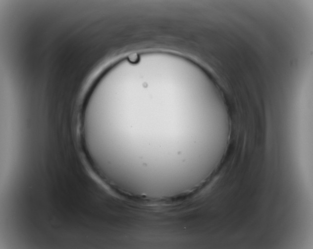 X0000085311511200703302011