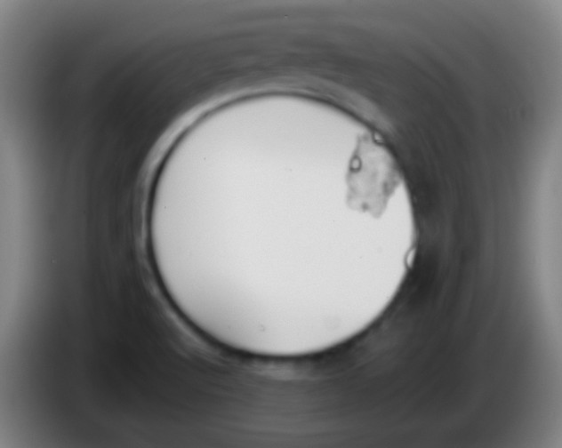 X0000085311512200703302011