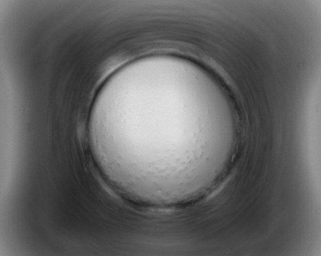 X0000085311513200703302011