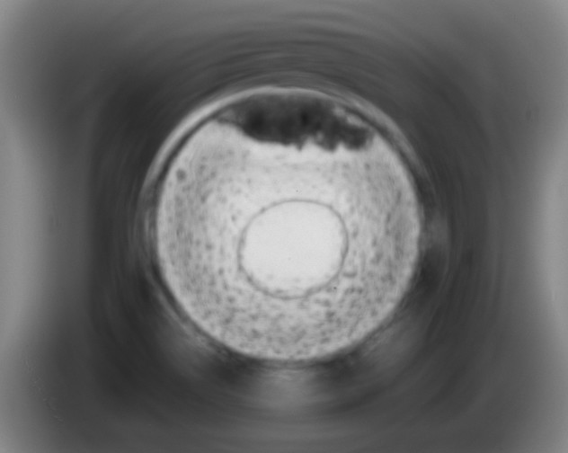 X0000085311514200703302011