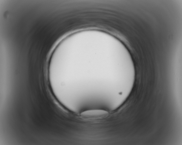 X0000085311516200703302011