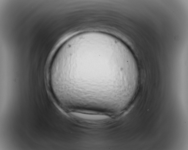 X0000085311517200703302011