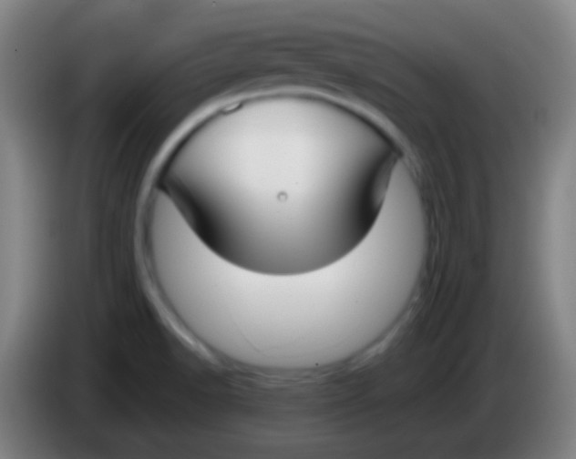 X0000085311518200703302011