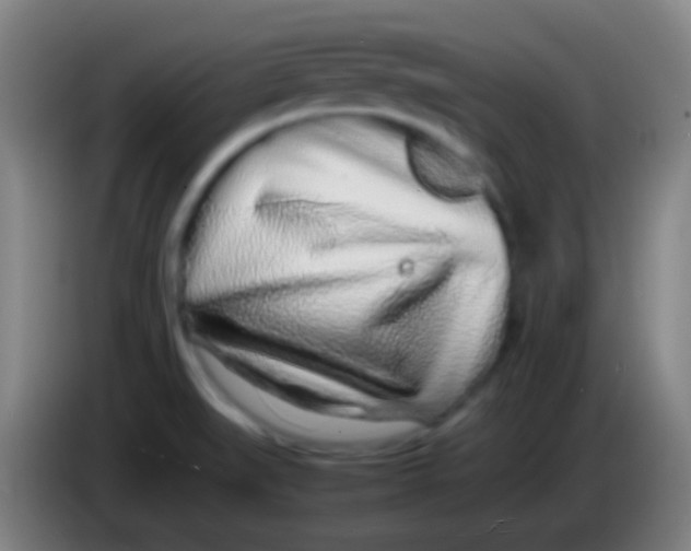 X0000085311519200703302011