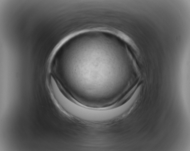 X0000085311520200703302011