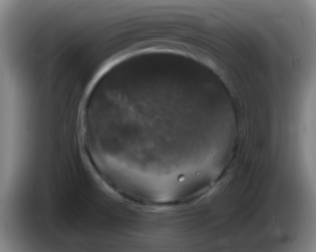 X0000085311522200703302011