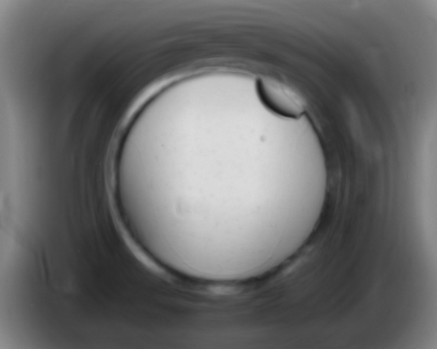 X0000085311523200703302011