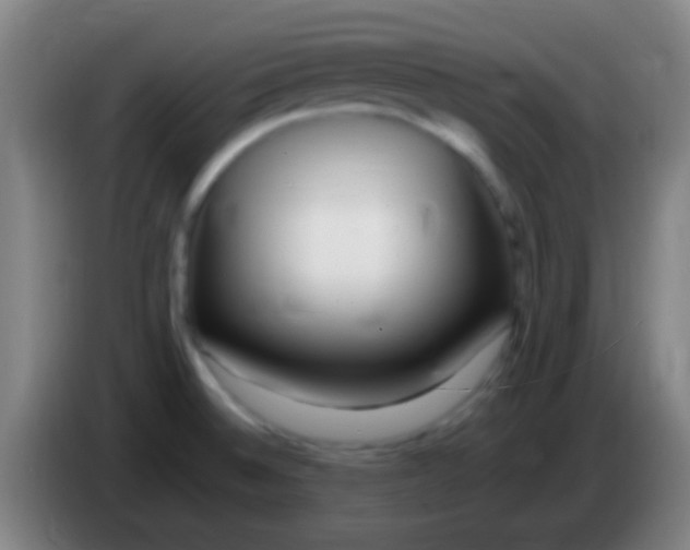 X0000085311524200703302011