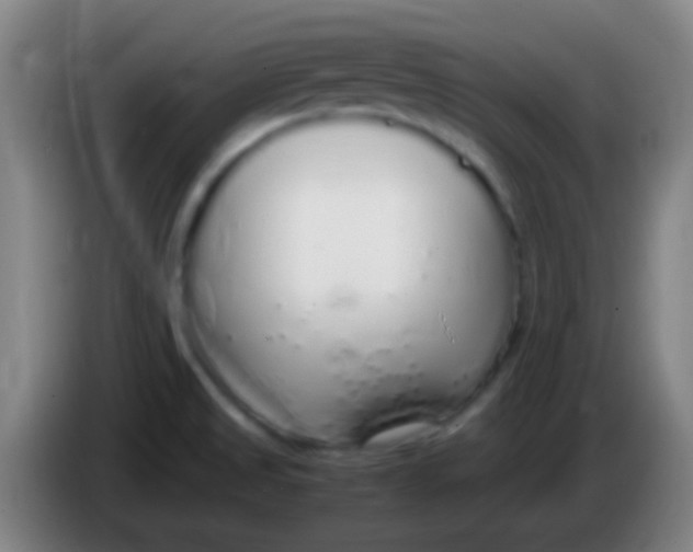 X0000085311525200703302011