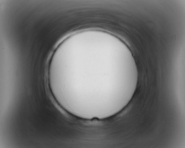 X0000085311526200703302011