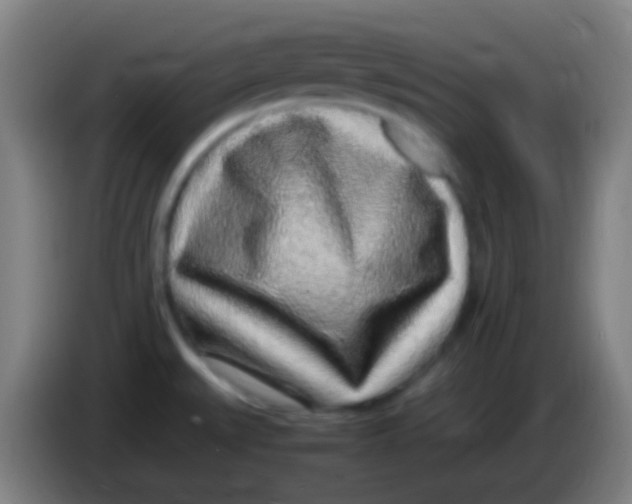 X0000085311527200703302011