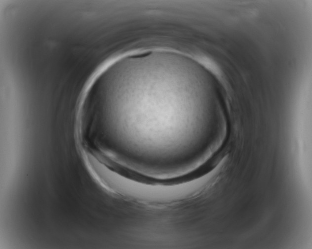 X0000085311528200703302011