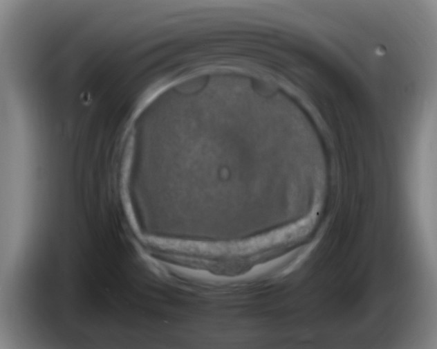 X0000085311529200703302011