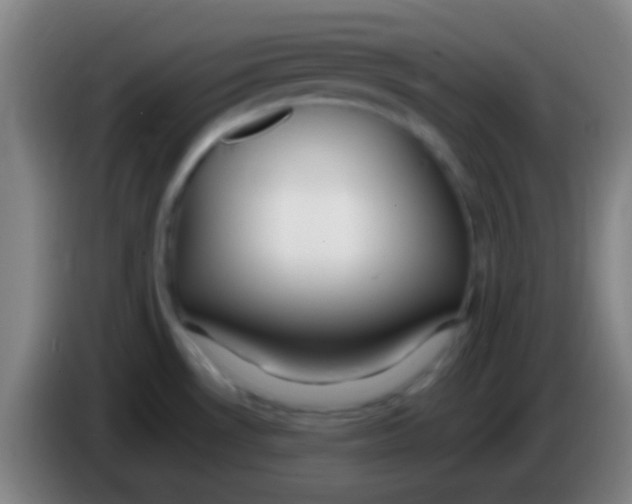 X0000085311530200703302011