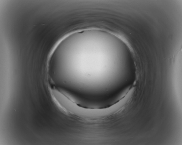 X0000085311532200703302012