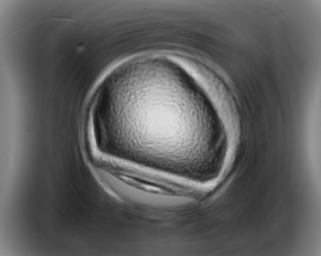 X0000085311533200703302012