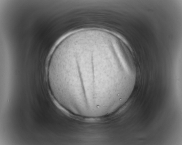 X0000085311535200703302012