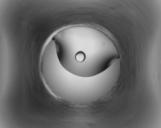 X0000085311536200703302012