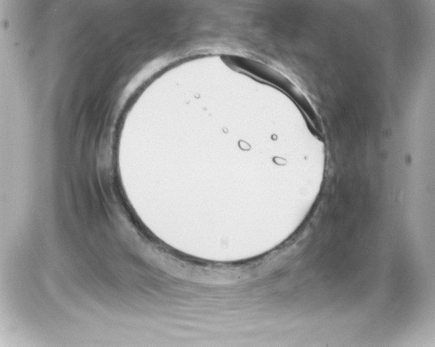 X0000085310008200704092335