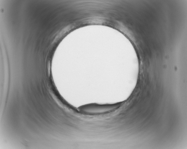 X0000085310013200704092335