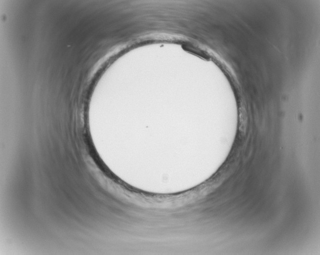 X0000085310015200704092335