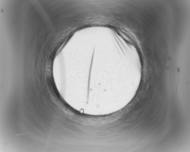 X0000085310017200704092335