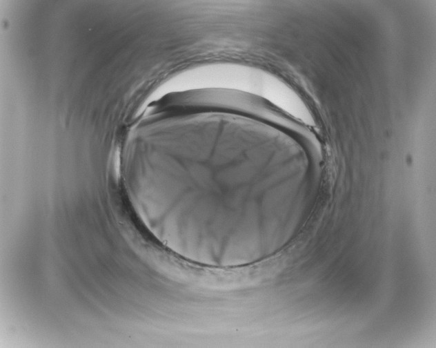 X0000085310027200704092335