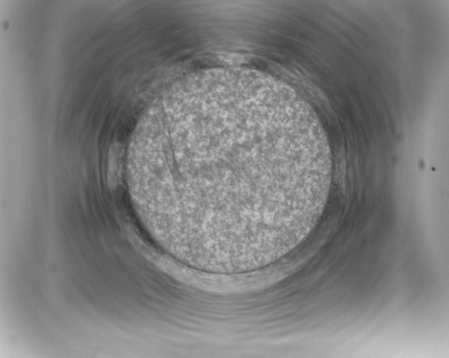 X0000085310030200704092334