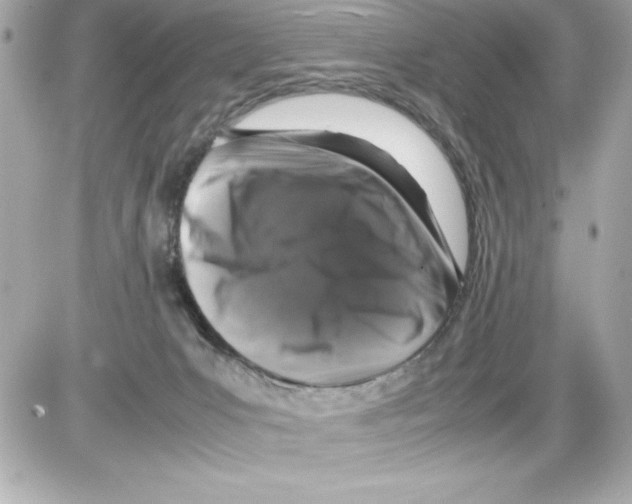 X0000085310031200704092334